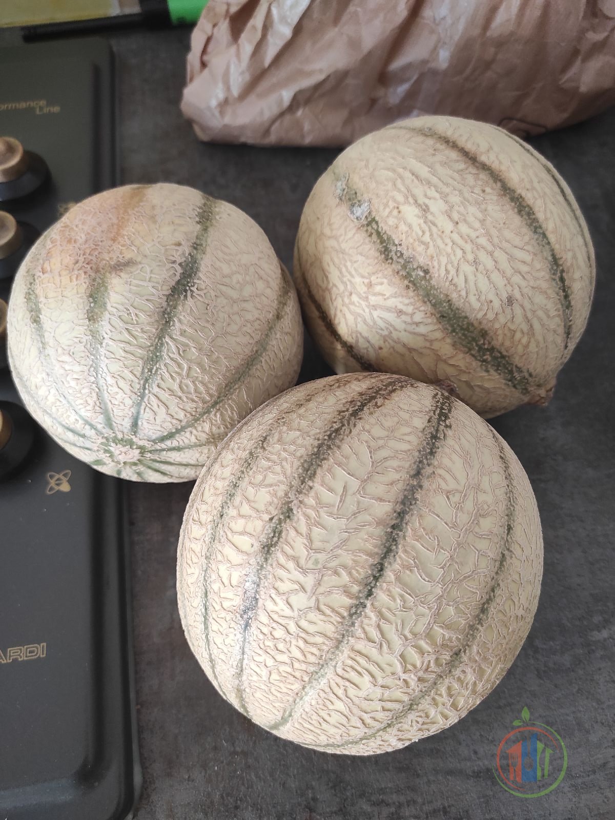Lot de 3 melons charentais